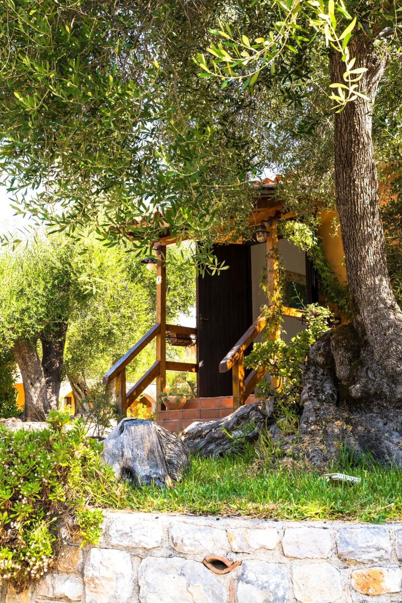 Park Hotel Cilento Marina di Camerota Exterior foto